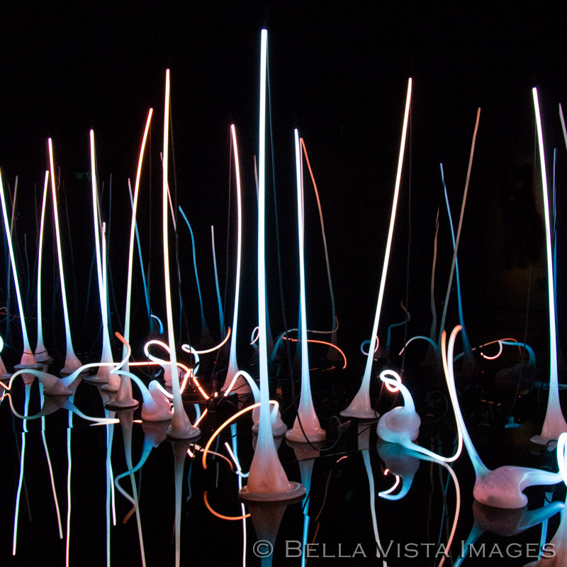 chihuly01