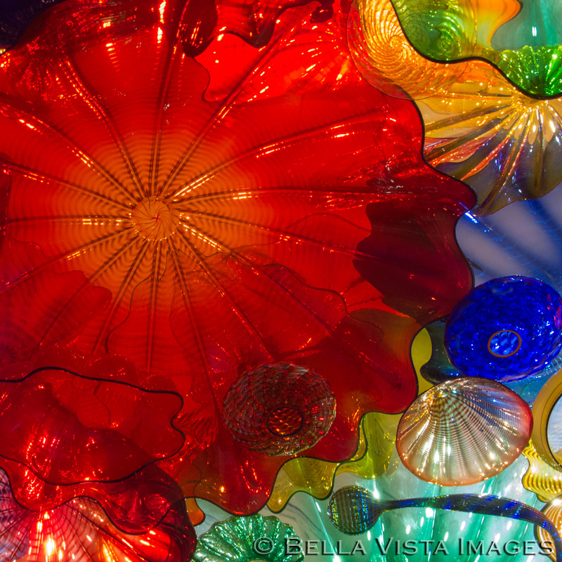 chihuly02
