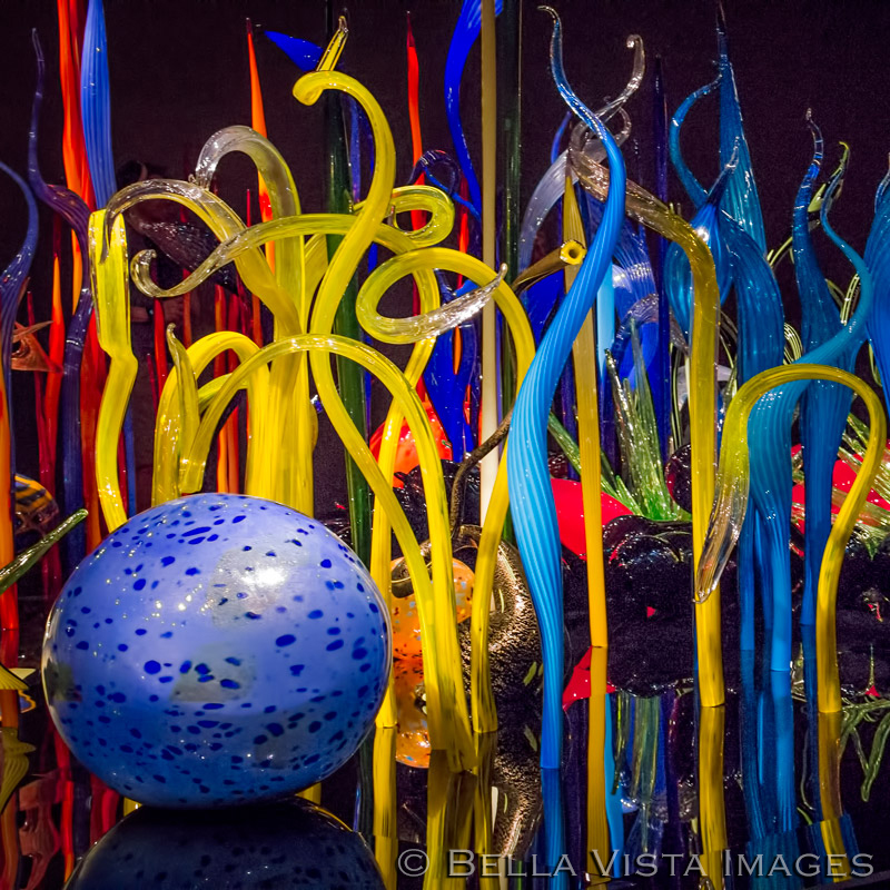 chihuly03