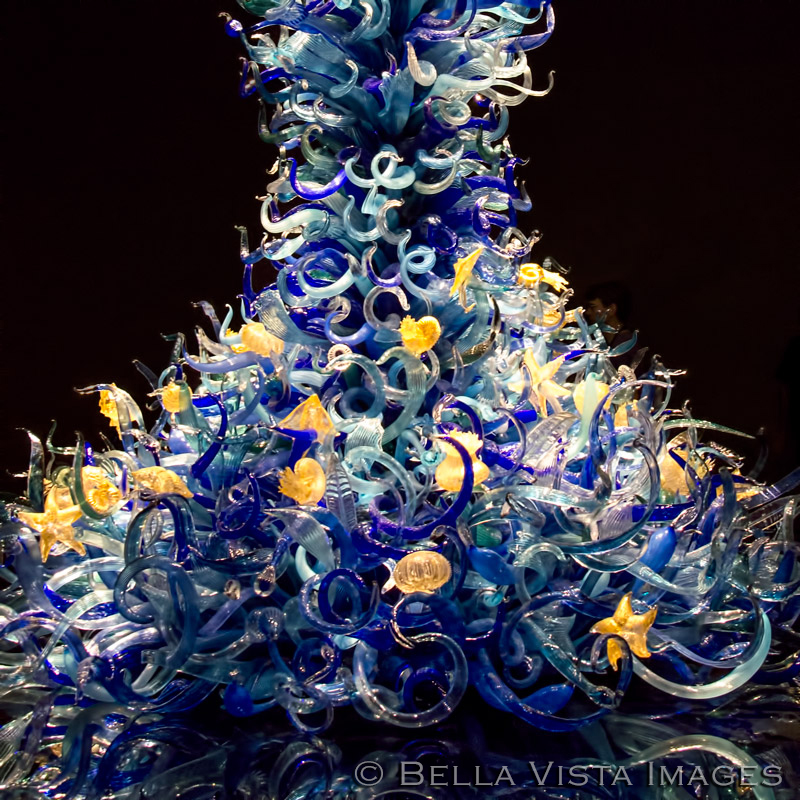 chihuly04