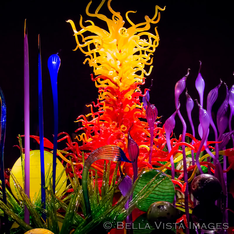 chihuly05