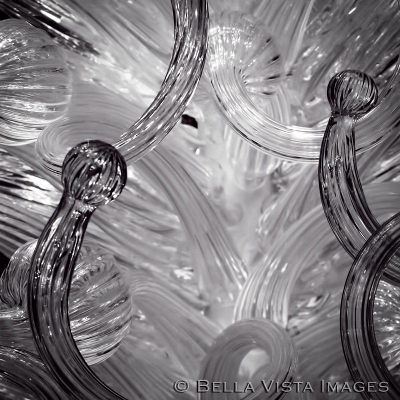 chihuly06