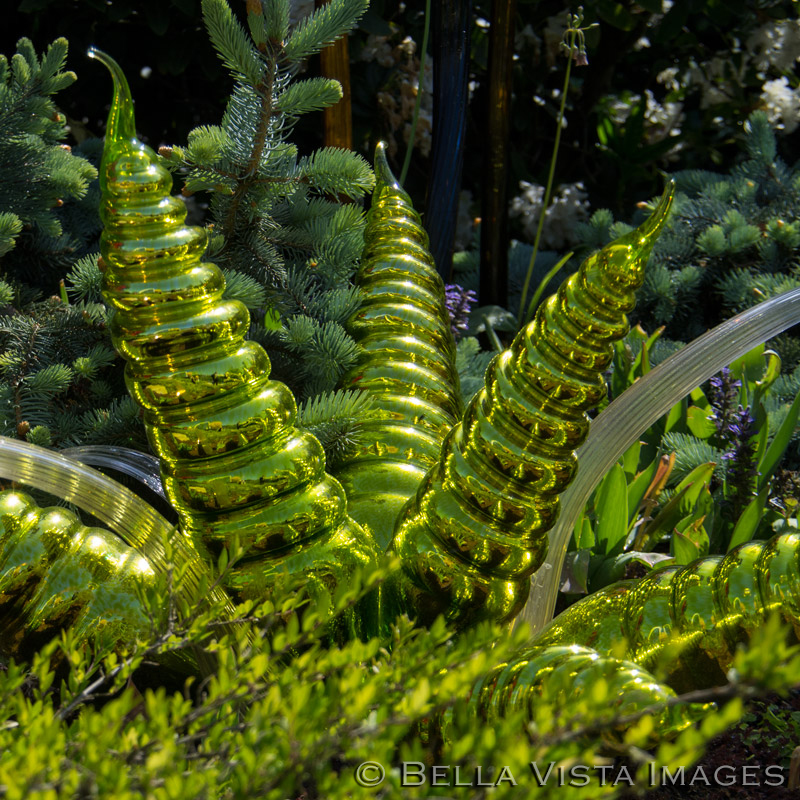 chihuly07