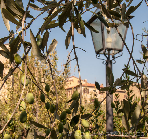tuscany_08