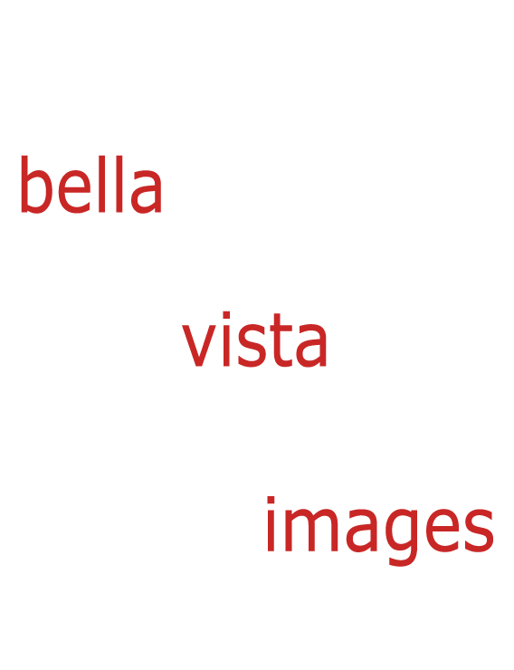 wordcloud